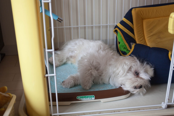 20130705-153652.jpg
