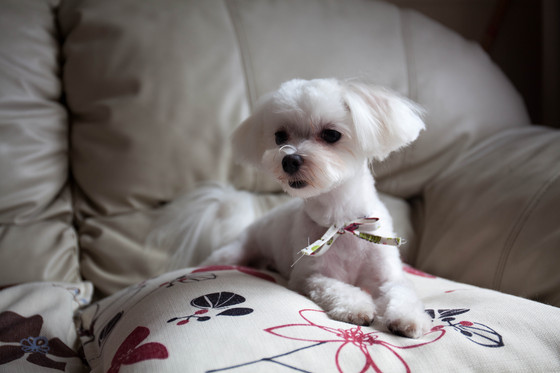 20130724-112811.jpg