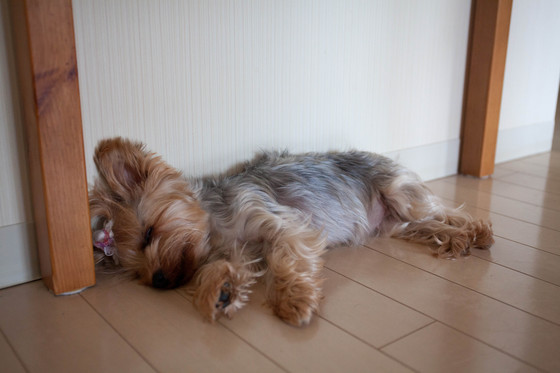 20130827-154000.jpg
