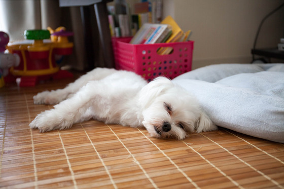 20130827-154024.jpg
