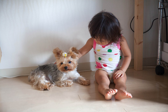 20130902-163053.jpg
