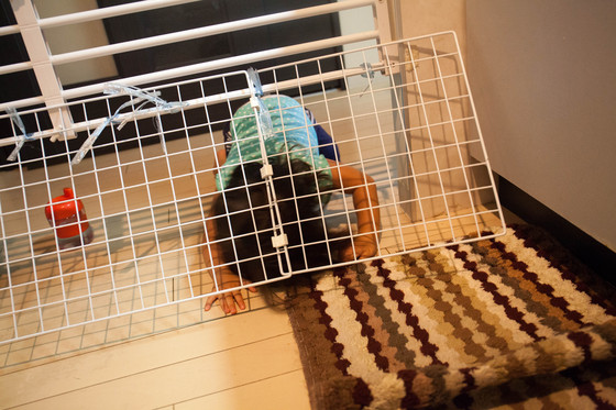 20130904-173131.jpg