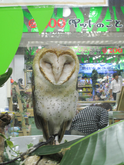 20130911-122847.jpg