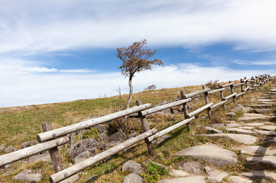 20130922-093322.jpg