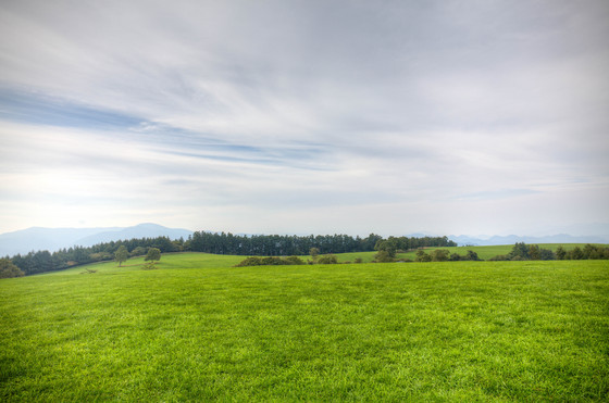 20130922-153527-2_-3_.cr2.jpg