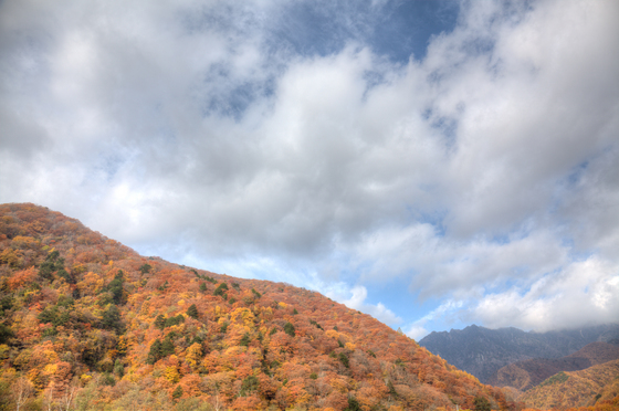 20131109-094133-2_3_4.jpg