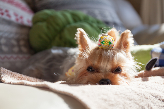 20131114-103141.jpg