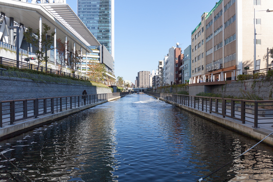 20131116-141020.jpg