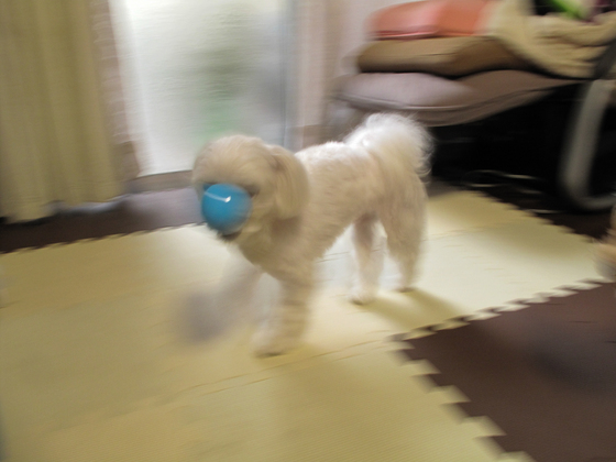 20140302-134448.jpg