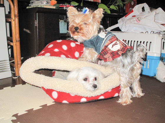 20140302-194021.jpg