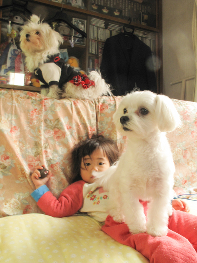 20140304-074340.jpg