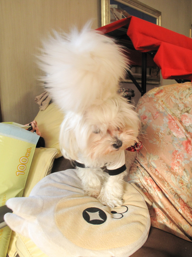 20140304-091222.jpg