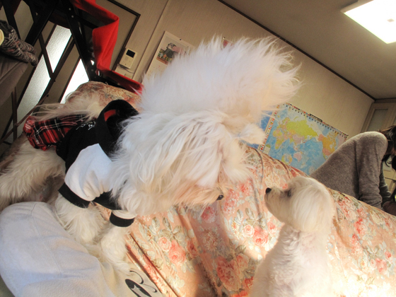 20140304-091239.jpg