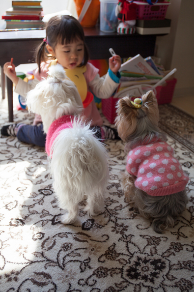 20140310-130143.jpg