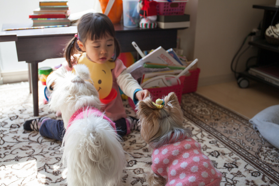 20140310-130155.jpg