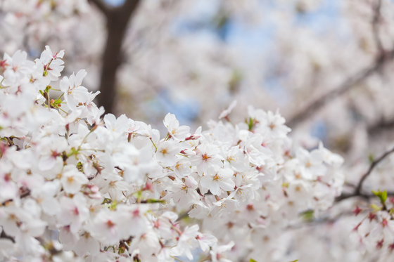20140405-121809.jpg