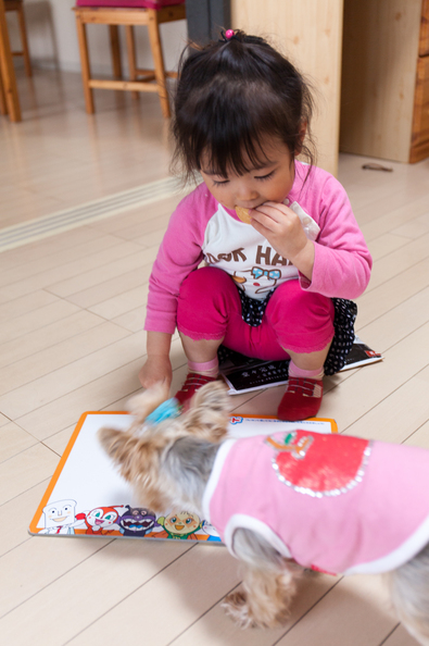 20140410-172540.jpg