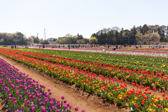 20140412-110436.jpg