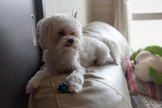 20140508-134452.jpg