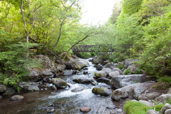 20140531-080502.jpg