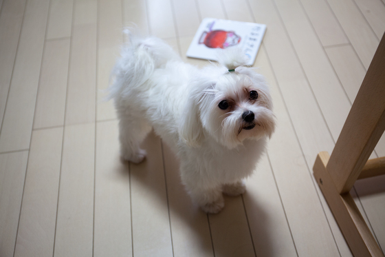 20140624-102112.jpg