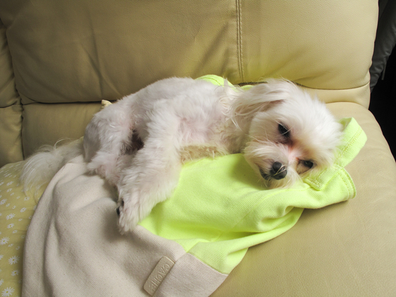 20140817-115310.jpg