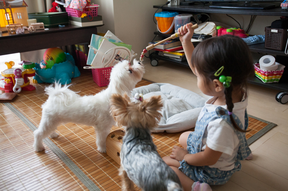 20140903-132614.jpg