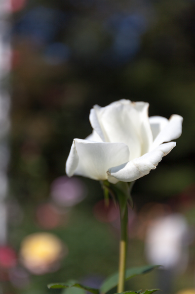 20141018-112329.jpg