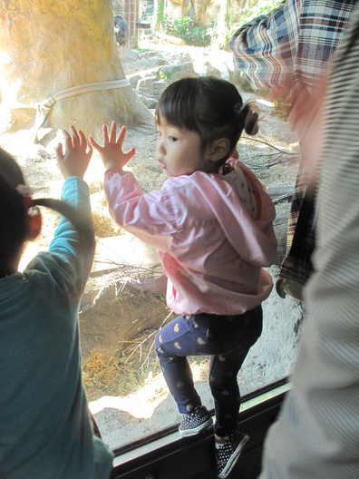 20141107-103410.jpg