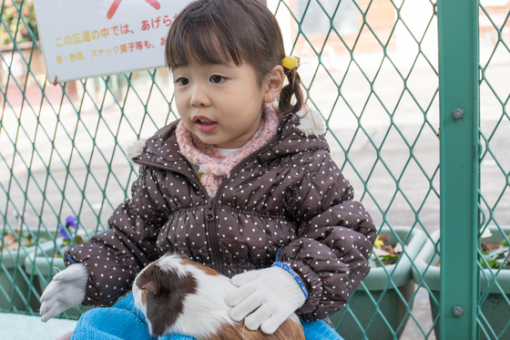20141225-113040.jpg