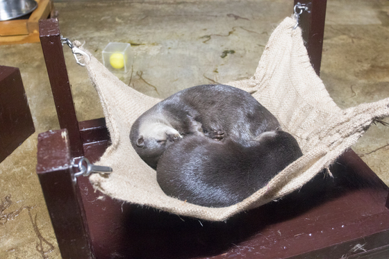 20150105-110339.jpg