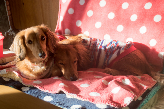 20150110-090146.jpg