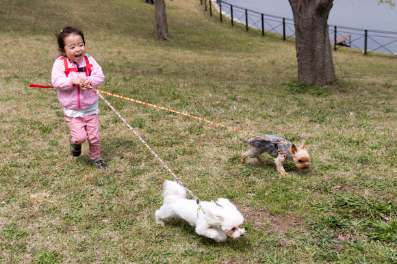 20150425-103611-2.jpg