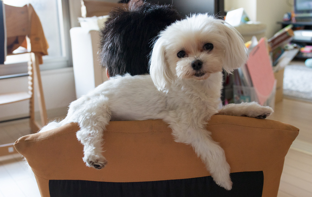 20150426-162751.jpg