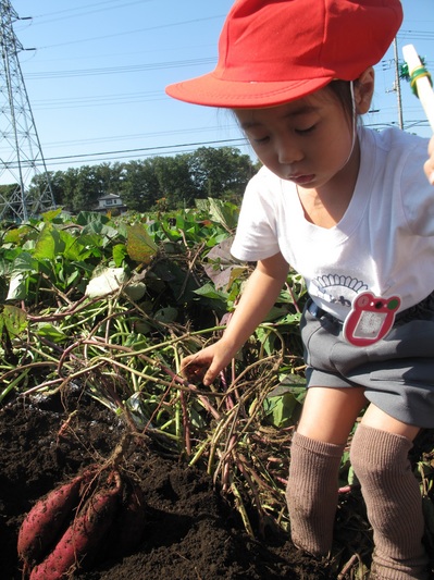 20151019-111238.jpg